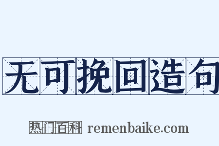 无可挽回造句是什么意思的图片